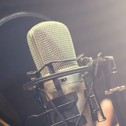 Verband Deutscher Sprecherinnen e.V. Der SprecherBerufsverband